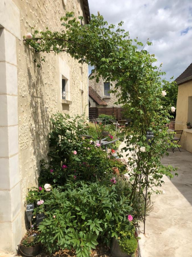 Les Chambres De L'Aigronne Le Petit-Pressigny Eksteriør billede